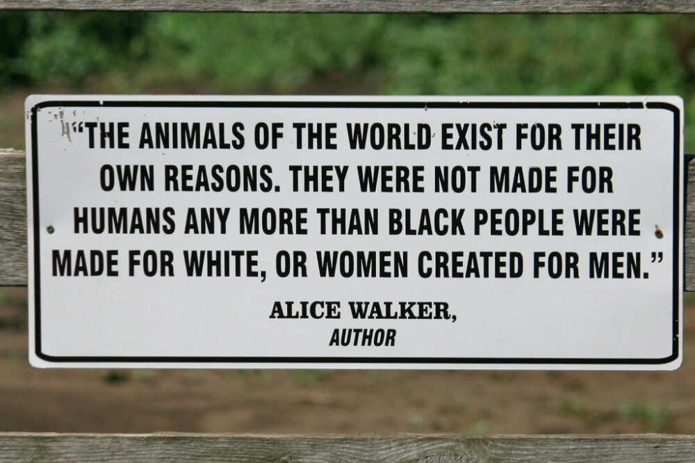 Straßenschild mit Zitat von Alice Walker